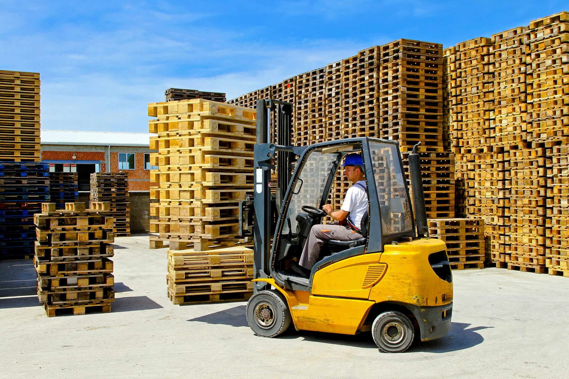 Servizi Di Trasporto: Gestione Pallet - DL International